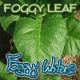 Foggy Leaf by Foggy Waters